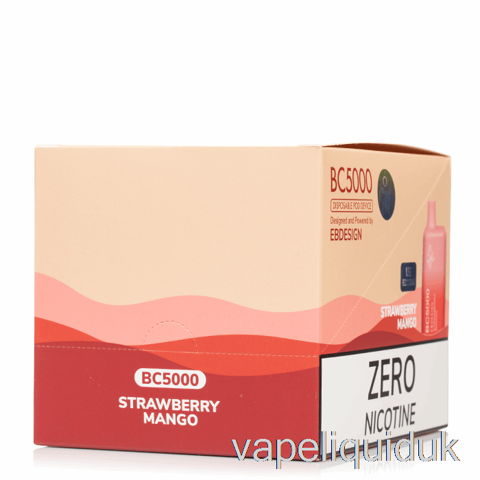 BC5000 0% Zero Nicotine Disposable (10-Pack) Vape Juice
